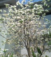 20120429122109.jpg